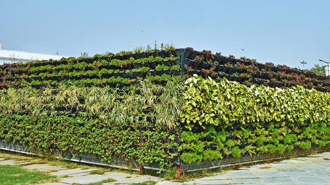 How a Vertical Plant Wall System for Urban Greenery Enhances Aesthetics