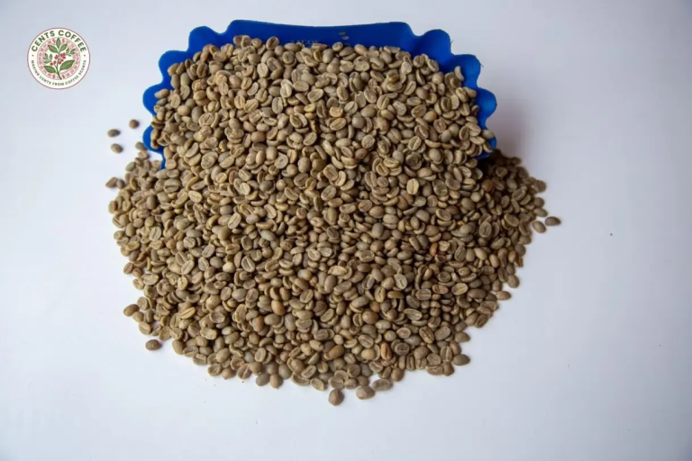 Choosing the Right Green Coffee Beans for Your Roasting Business