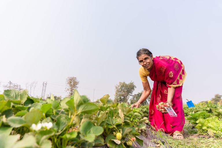 Using Farm Data Analytics to Measure Seasonal Performance Improvements
